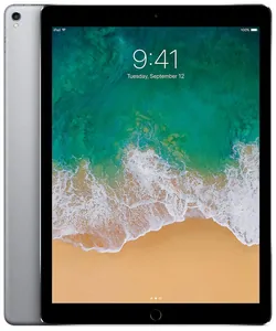 Замена экрана на iPad Pro 12.9' (2015) в Москве